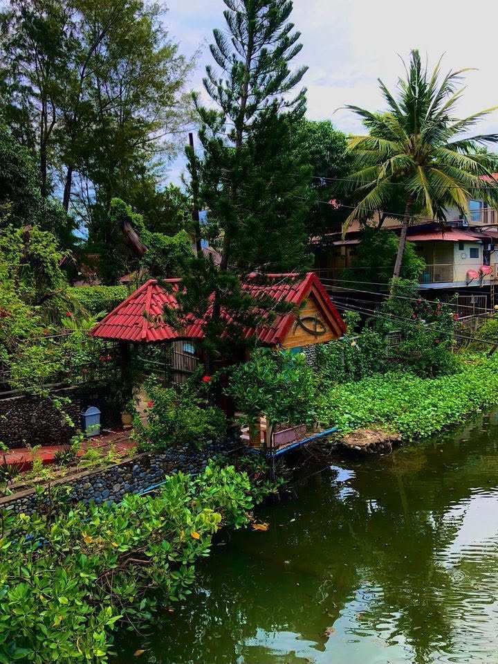Red-roof riverside cottage nestled among coconut palms and lush greenery over the river